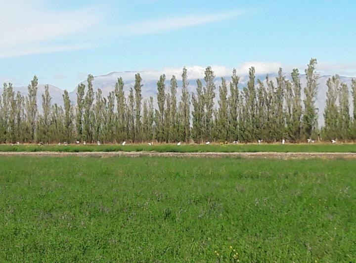 Terreno · 165577m²