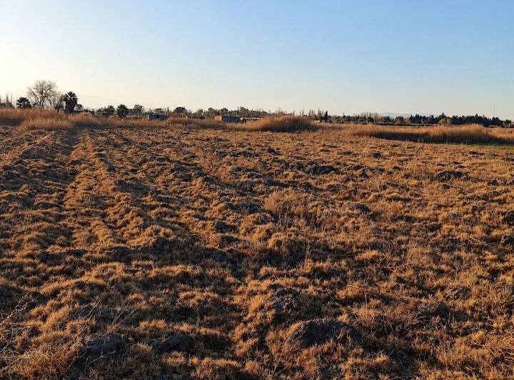 Terreno · 60000m² · 1 Dormitorio