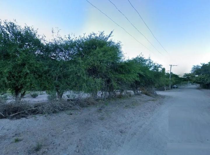 Campo · 25000ha