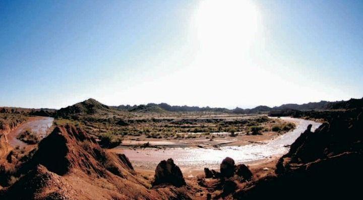 Campo · 200320ha