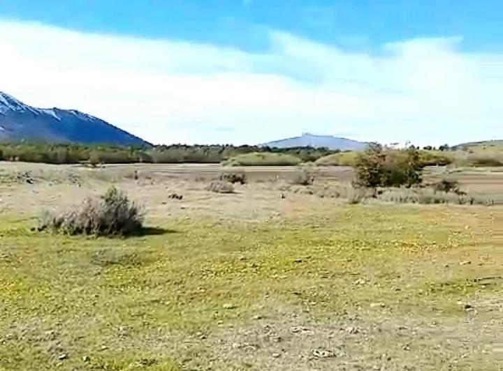 Campo · 1598ha