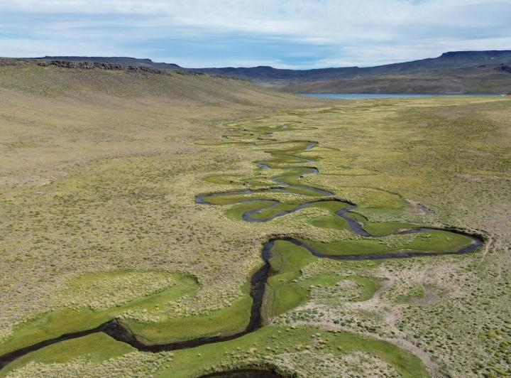 Campo · 100000000m² · 10 Ambientes