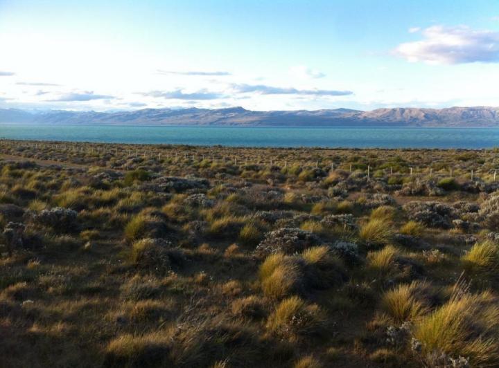 Terreno · 6000m²