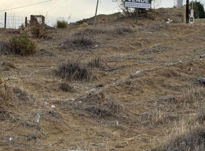 Terreno