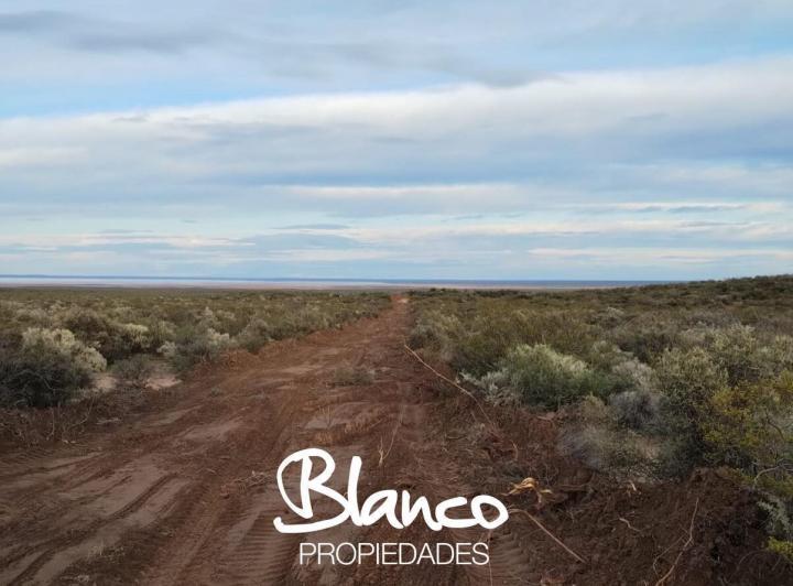 Campo · 15000m²