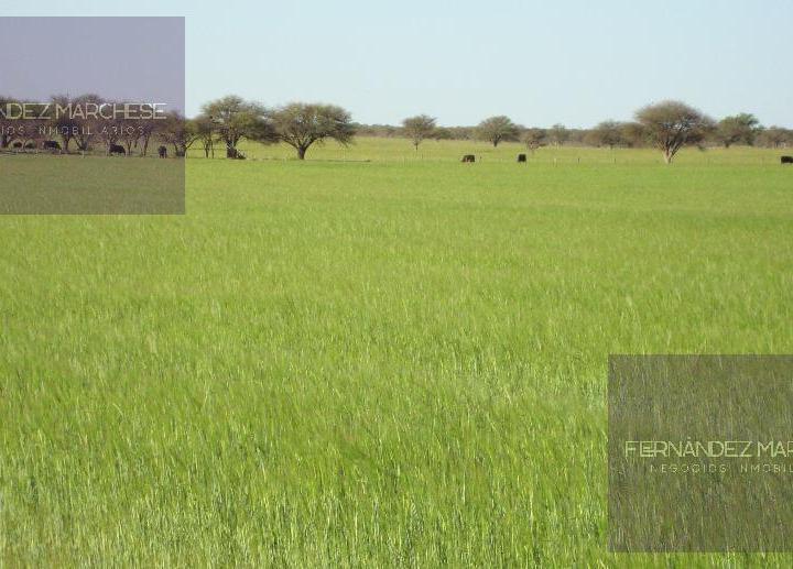 Terreno · 1ha