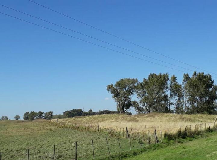 Campo · 5ha
