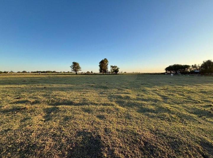 Campo · 3ha
