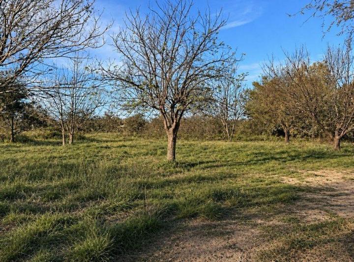 Terreno · 663m²