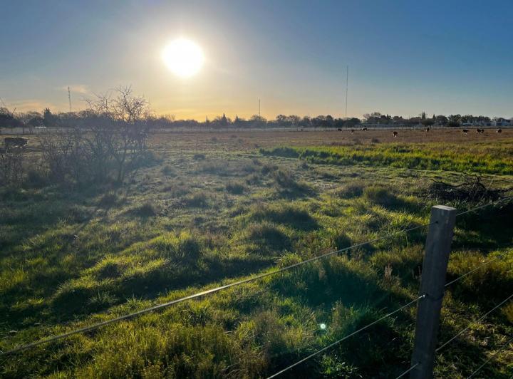 Terreno · 30000m²