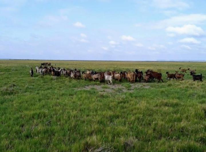 Campo · 80m²