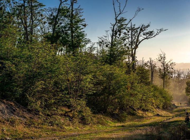 Terreno · 1200m²