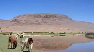 Campo · 1ha