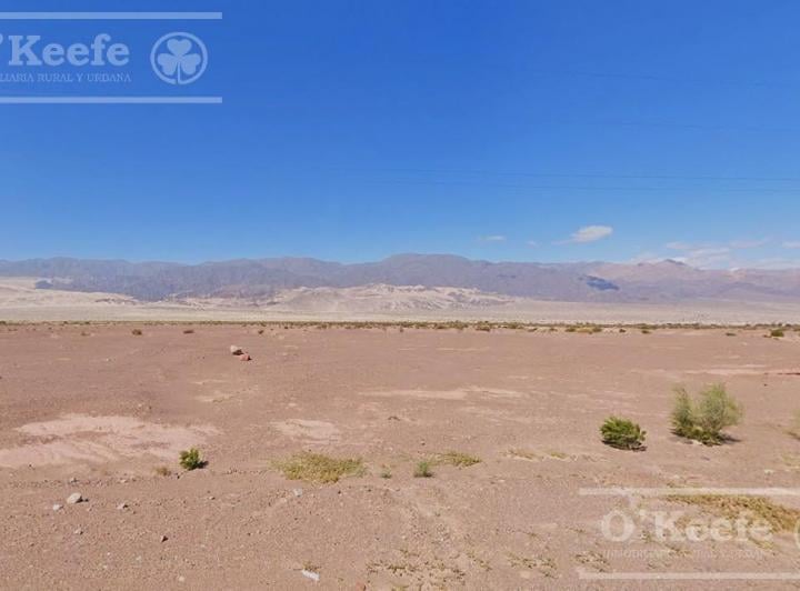 Campo · 7320000m²