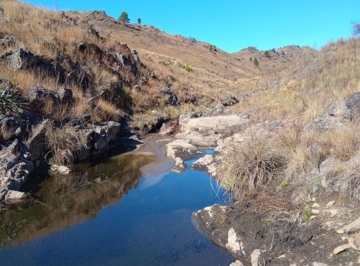 Campo · 140000m²