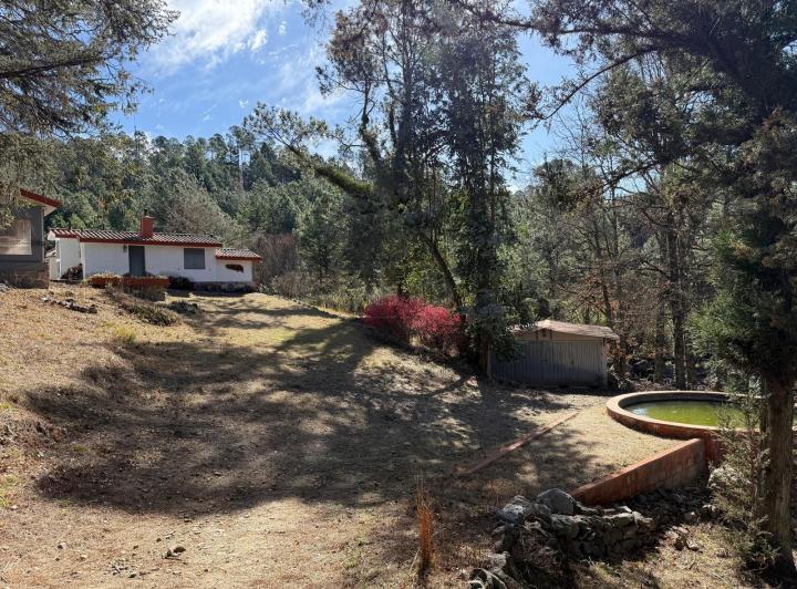 Campo · 200000m² · 7 Ambientes