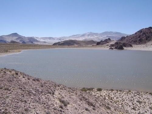 Campo · 35000m²