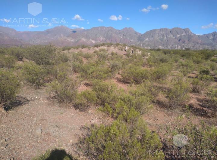 Campo · 28580000ha