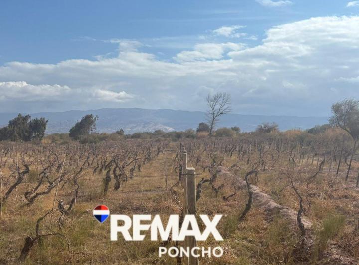 Terreno · 8129m²