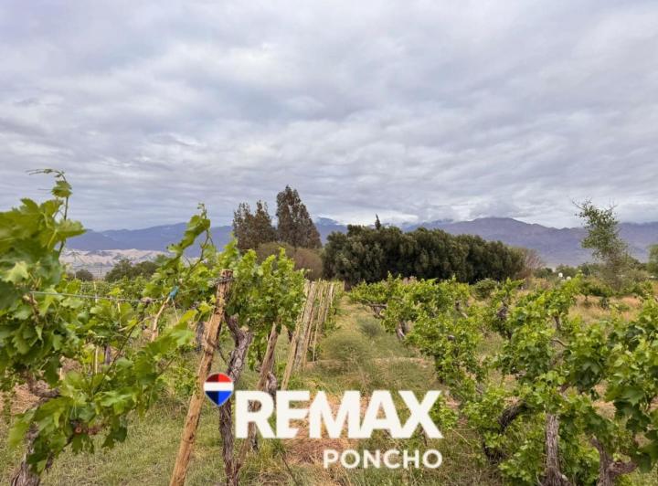 Terreno · 8651m²