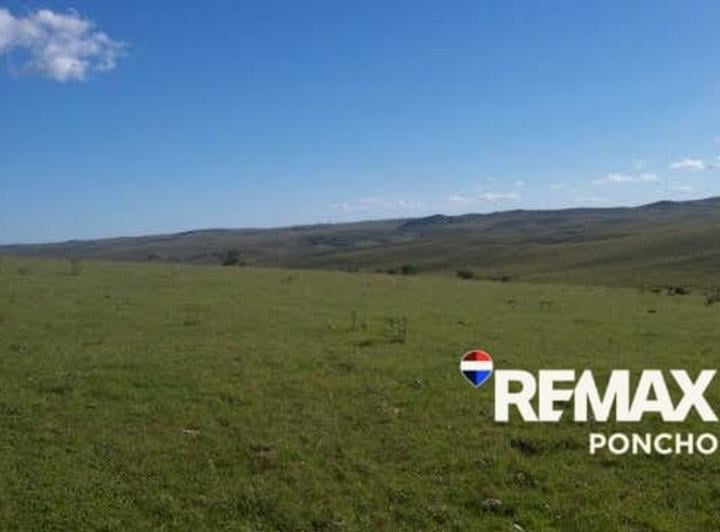 Campo · 1000ha
