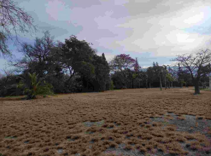 Terreno · 640m²
