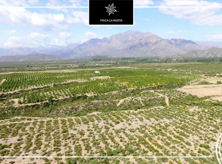 Campo · 220m² · 1 Ambiente