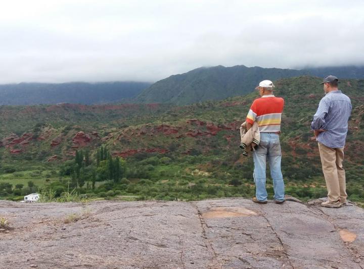 Campo · 625000000ha