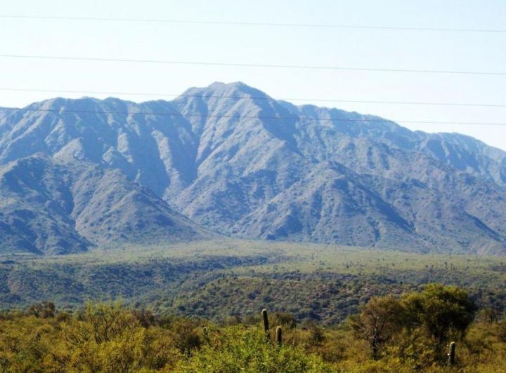 Campo · 20000ha