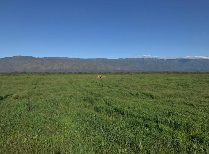 Campo · 8730m²