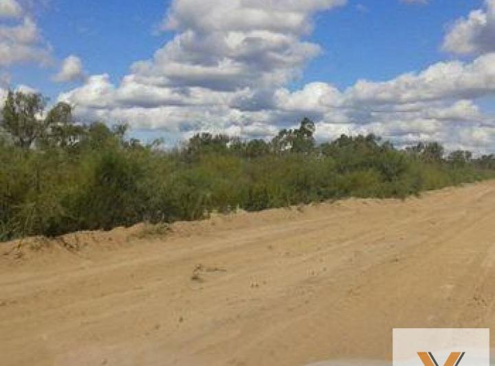Campo · 10ha