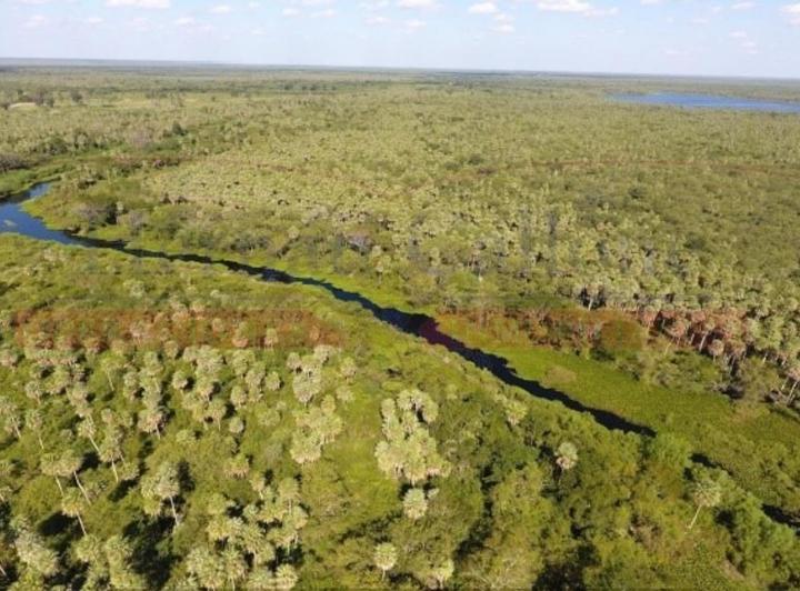Campo · 14000m² · 1 Ambiente