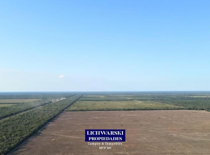 Campo · 6000ha