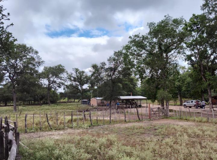 Campo · 150m² · 4 Ambientes