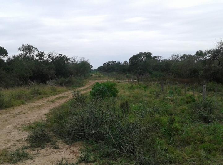 Campo · 539m²