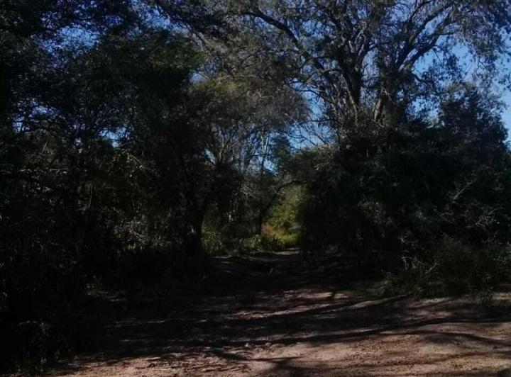 Campo · 660m²