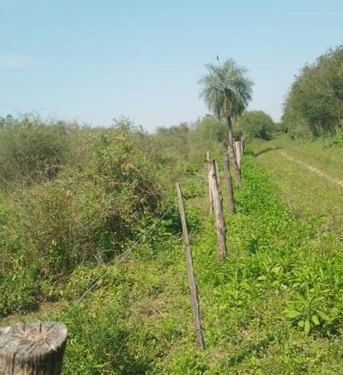 Campo · 43m²
