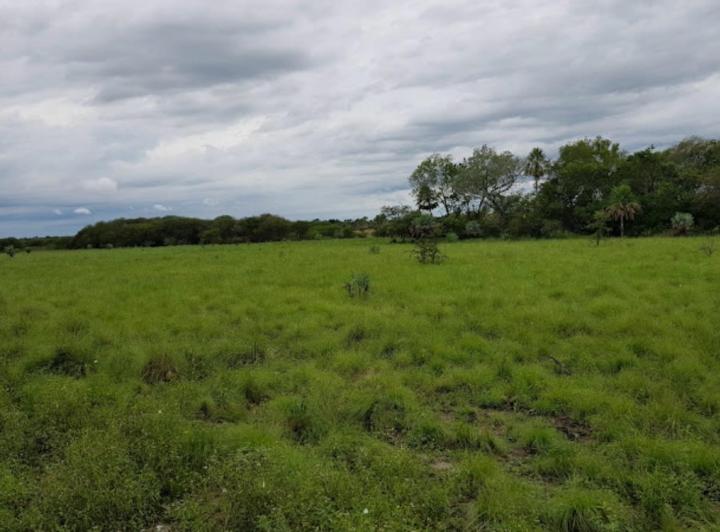 Campo · 1611ha