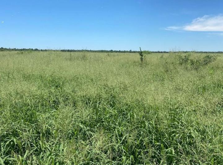 Campo · 820m²