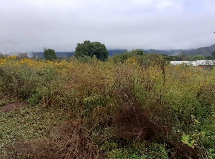 Terreno · 1000m²