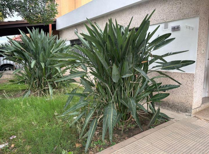 Casa · 193m² · 3 Ambientes