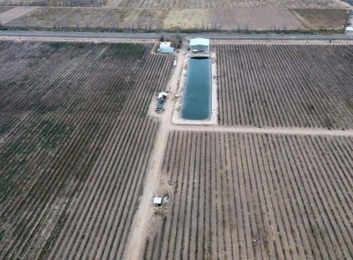 Campo · 74m²