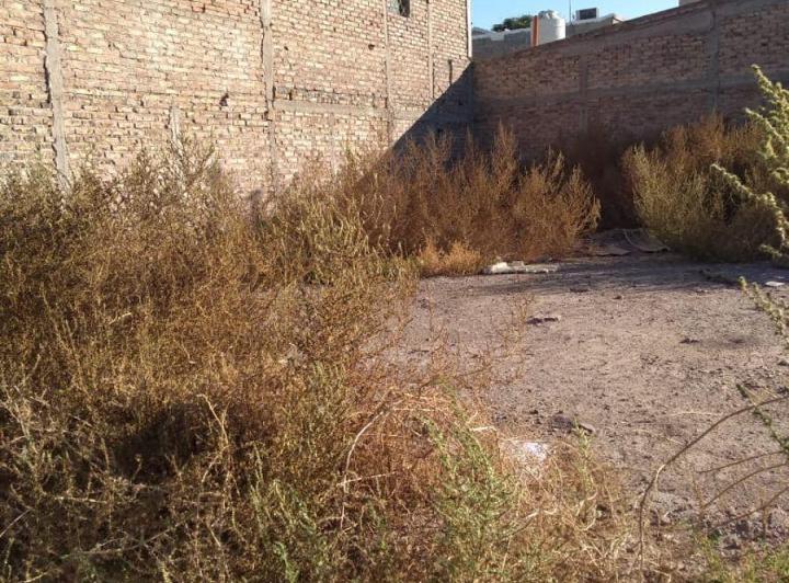 Terreno · 202m²