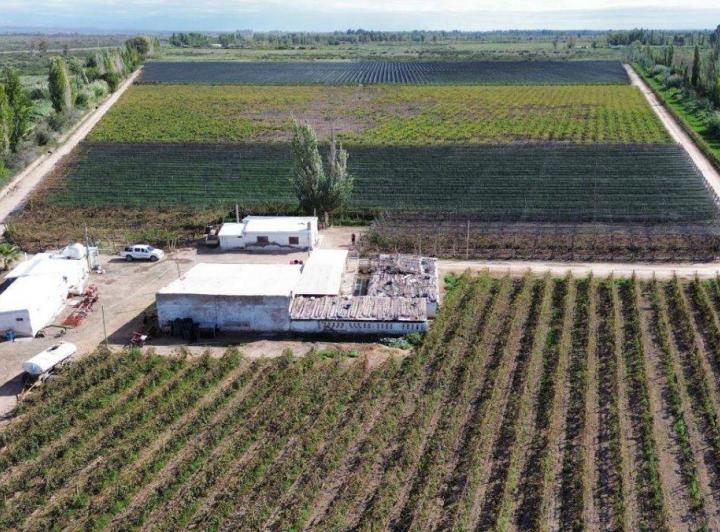Campo · 15m²