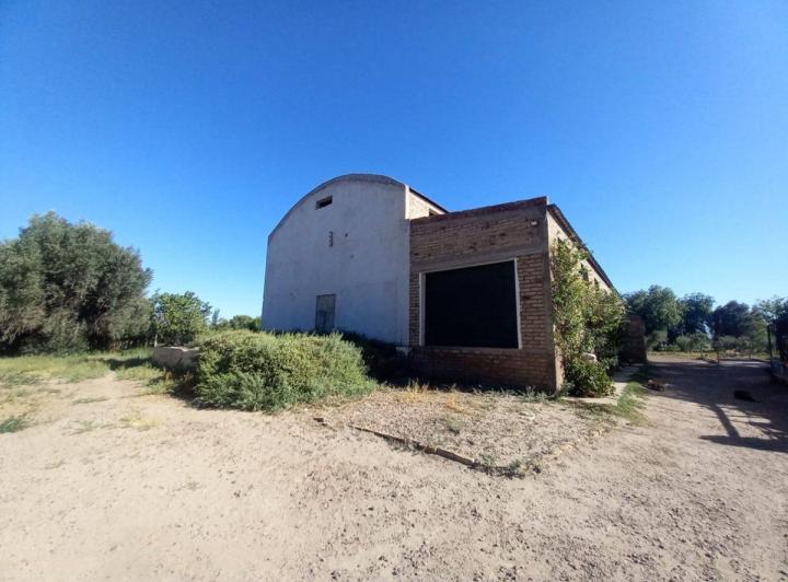Campo · 700ha