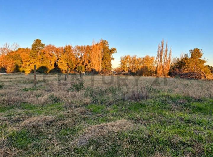 Terreno · 200m²