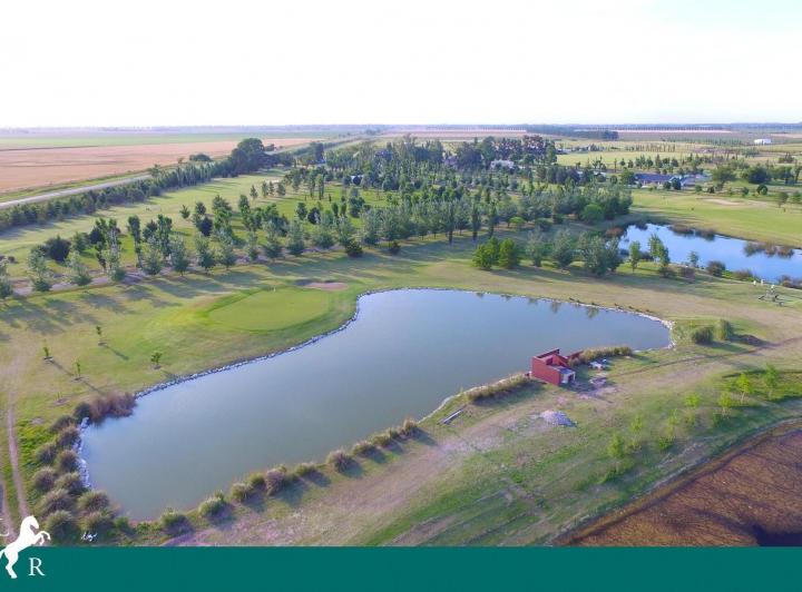Terreno · 1000m²