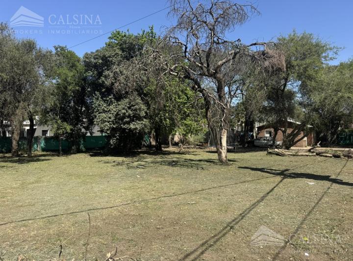 Terreno · 1115m²
