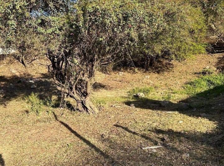 Terreno · 1200m²