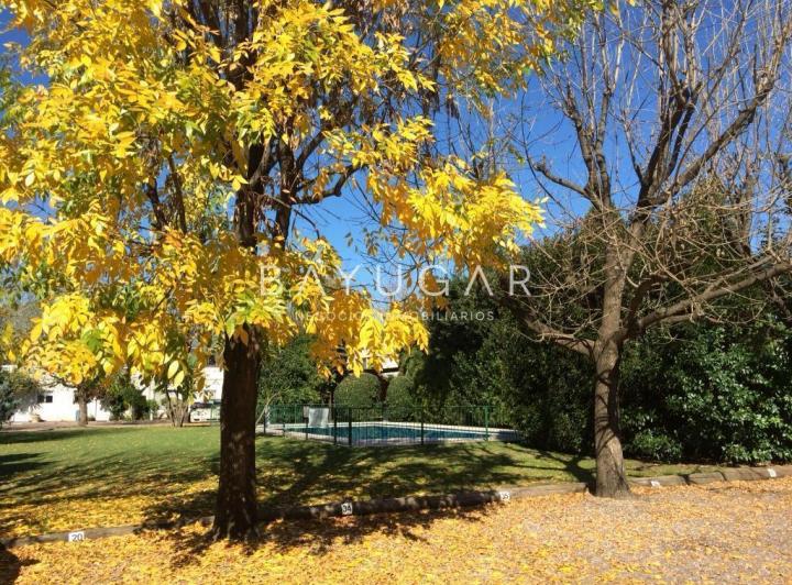 Departamento · 60m² · 3 Ambientes · 1 Cochera